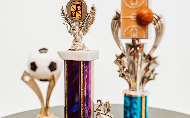 Custom 3D printed awards